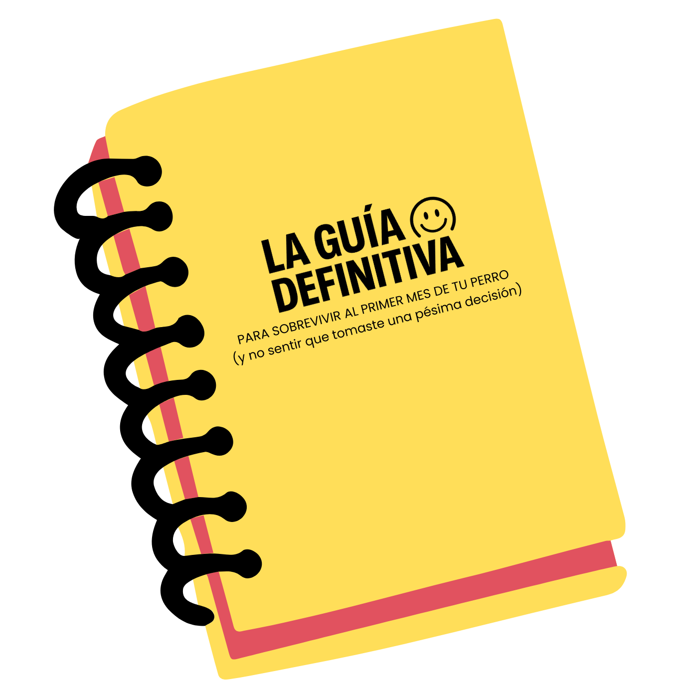 La Guía Definitiva para sobrevivir al primer mes de tu perro (y no sentir que tomaste una pésima decisión)